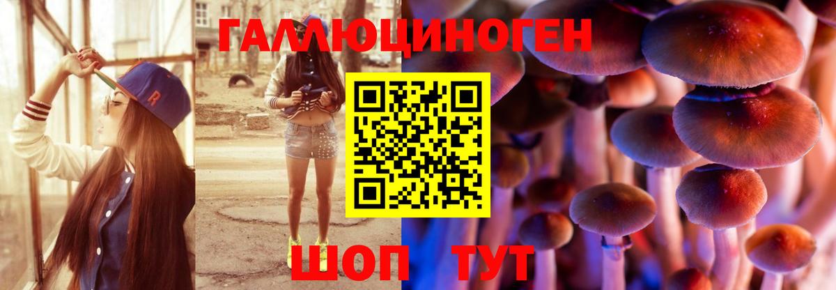 Беслан  Галлюциногенные грибы Cubensis  Вход с VPN  Галлюциногенные грибы Cubensis 